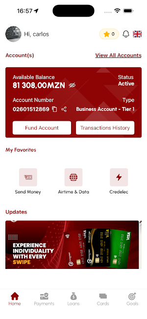 Thembani Digital Screenshot 0