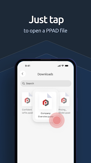 PPAD Viewer Screenshot 2