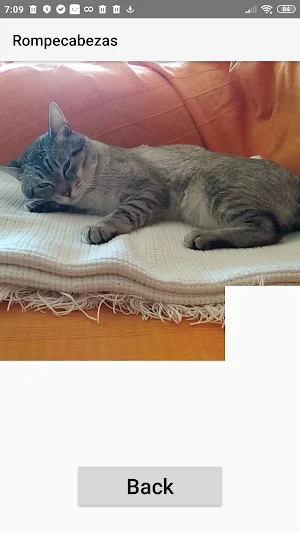 Photo puzzle Screenshot 1