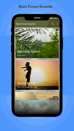 Rain Forest Sounds Screenshot 0