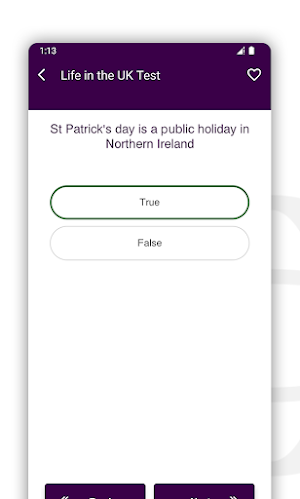 Life in the UK Test Screenshot 3