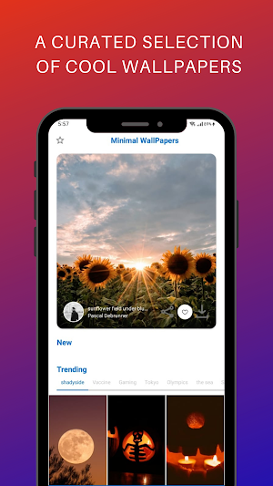 Minimal Wallpapers 2021 Screenshot 2
