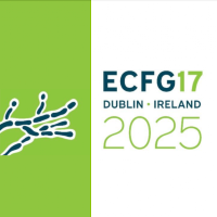 ECFG 17