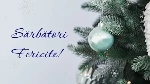 Mesaje de Crăciun Screenshot 2