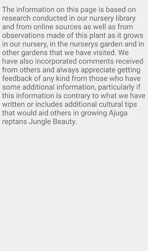 Ajuga Jungle Beauty Screenshot 2
