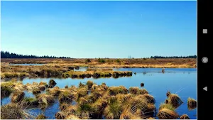HD Landscape Wallpapers Screenshot 2
