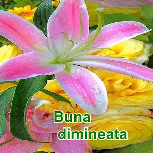 imagini de bună dimineața Screenshot 0