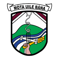 Moate All Whites GAA