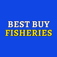 Best Buy Fisheries