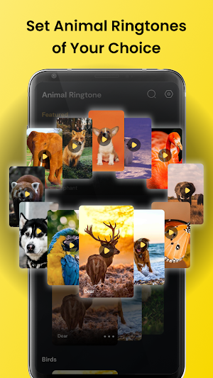 Animal Sounds - Bird Ringtones Screenshot 0