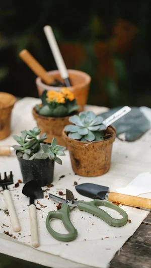 Gardening Wallpaper Screenshot 3
