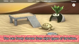 Tortoise to grow relaxedly Screenshot 1
