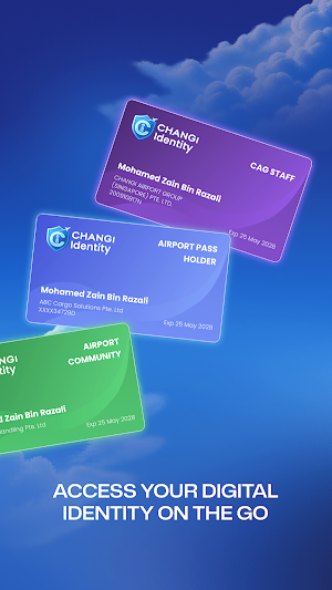 Changi Identity Screenshot 3