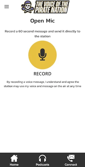 Pirate Radio Screenshot 2