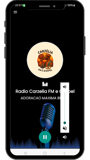 Rádio Carzélia FM e Gospel Screenshot 3