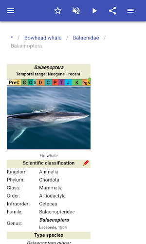 Cetaceans Screenshot 3