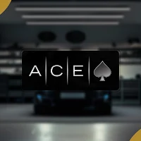 Ace Car Spa