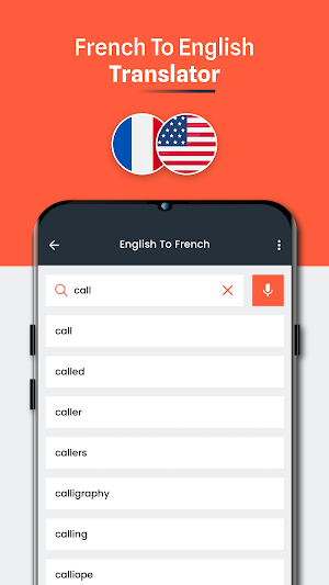French English Translator Screenshot 2