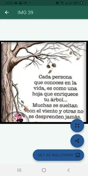 Frases bonitas para compartir Screenshot 3