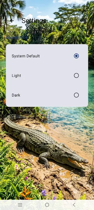 Crocodile river Screenshot 2
