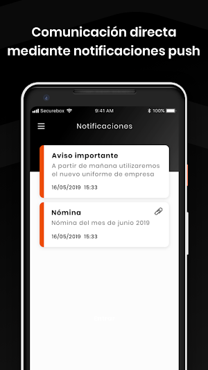 IB2 Seguridad Screenshot 2