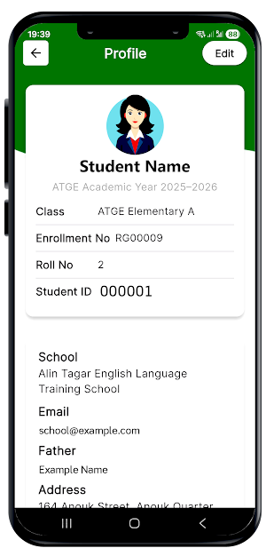 Alin Tagar EDU Portal Screenshot 2
