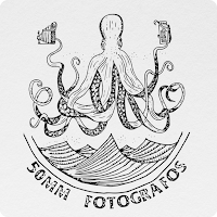 50mmFoto