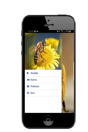 Bee sound Screenshot 1