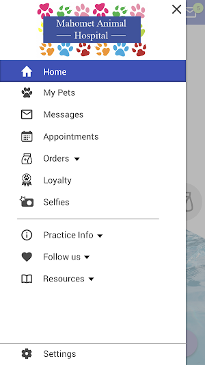 Mahomet Animal Hospital Screenshot 1