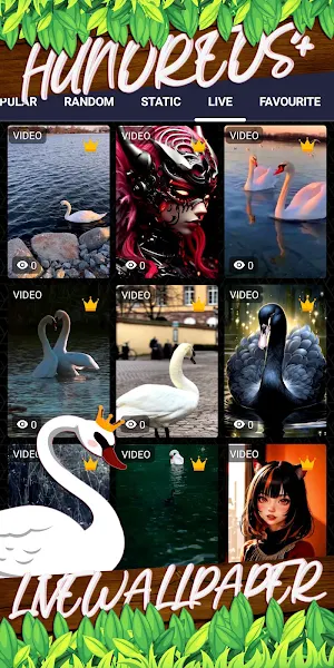 swan wallpaper Screenshot 2
