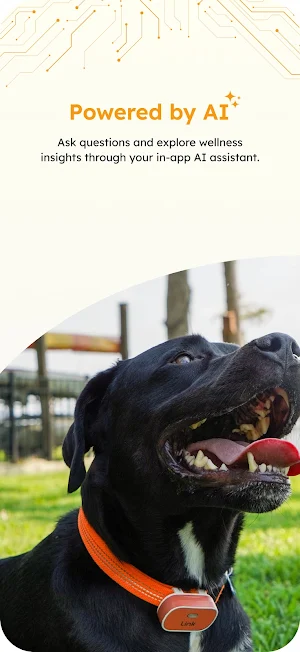 Raintree Pets Screenshot 2