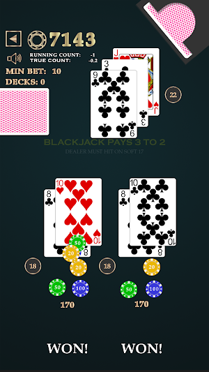 Card Counting & Basic Strategy Screenshot 2