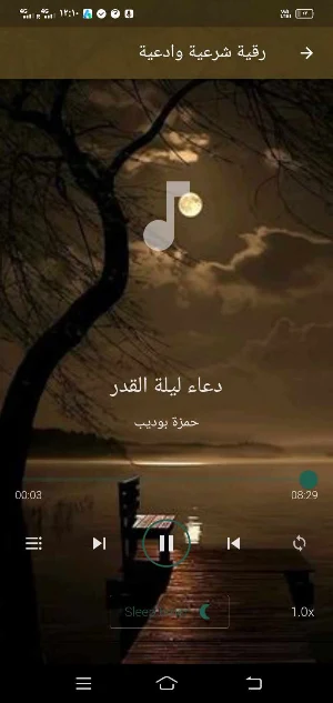 حمزة بوديب قران ورقية بدون نت Screenshot 3