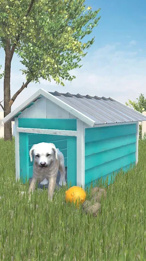 Build It! Screenshot 3