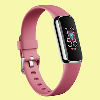 Fitbit Luxe guide