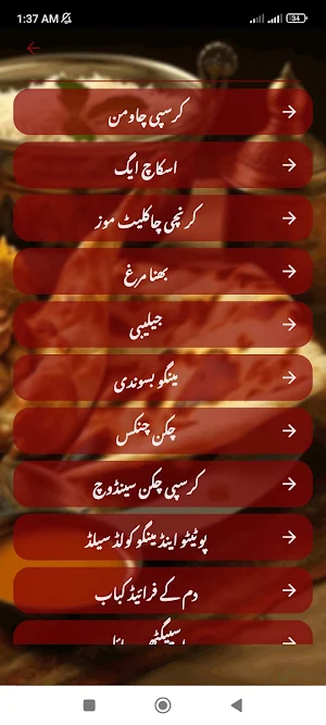 Ramzan Kay Special Khany Screenshot 3