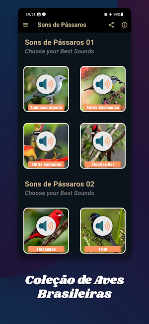 Todos os Sons de Pássaros Screenshot 1