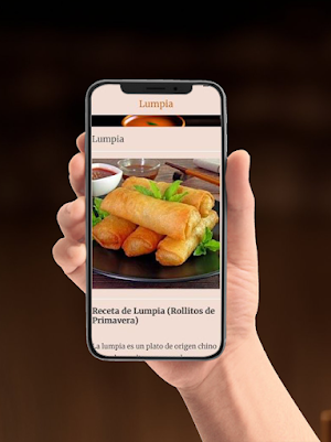 Recetas Indonesias Screenshot 3