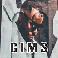 Maitre Gims Chansons