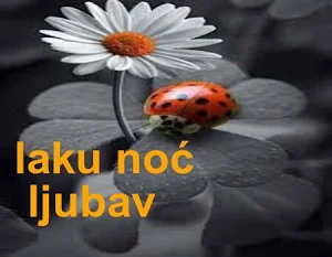 laku noc Screenshot 2
