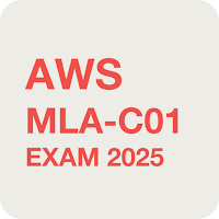 AWS Machine Learning Engineer