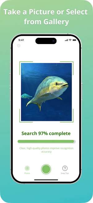 Identify Fish Screenshot 2