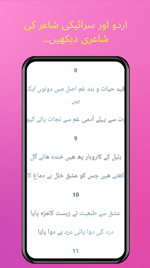 Urdu Saraiki Poetry Dailyشاعری Screenshot 2