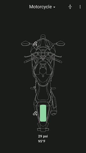 TPMS Advanced Screenshot 3