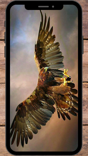 Elang Garuda Wallpaper Screenshot 0