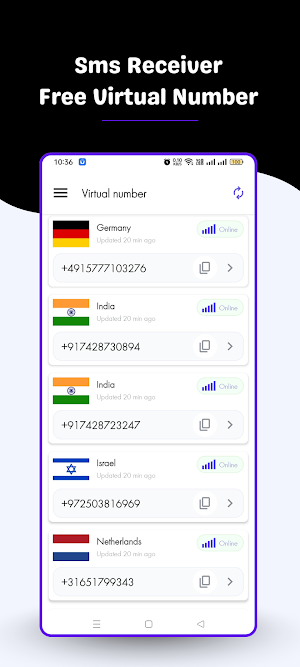 Virtual Number Receive SMS Screenshot 1