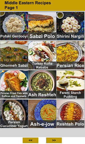 100 Middle Eastern Recipes Screenshot 0