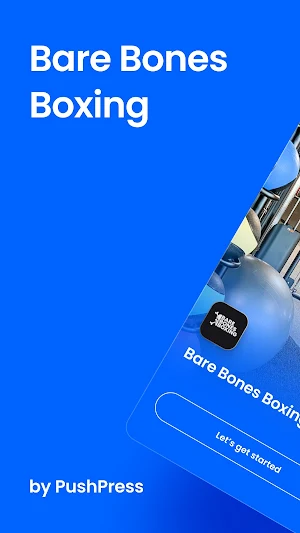 Bare Bones Boxing Screenshot 0