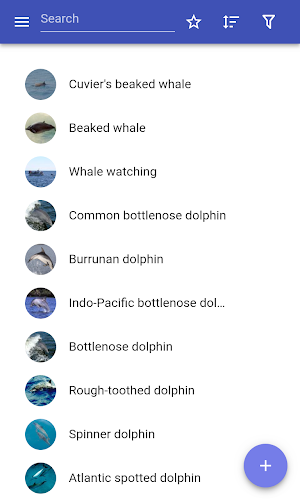 Cetaceans Screenshot 0