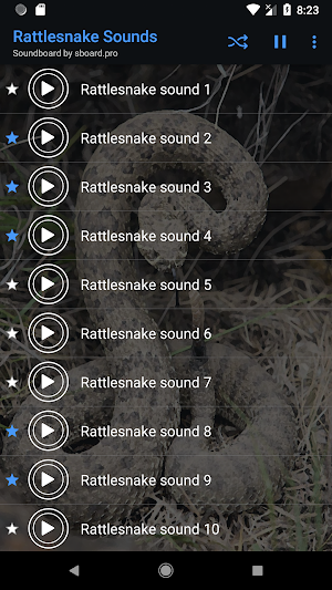 Rattlesnake Sounds ~ Sboard.pro Screenshot 3
